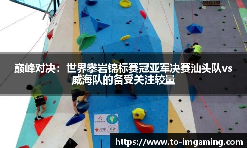 IM电竞官方网站